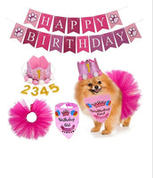 Happy Birthday DOG Basket