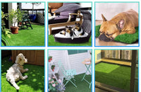 Dog Grass Pad, 2-Pack