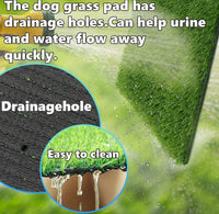 Dog Grass Pad, 2-Pack