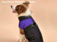 Winter Vest