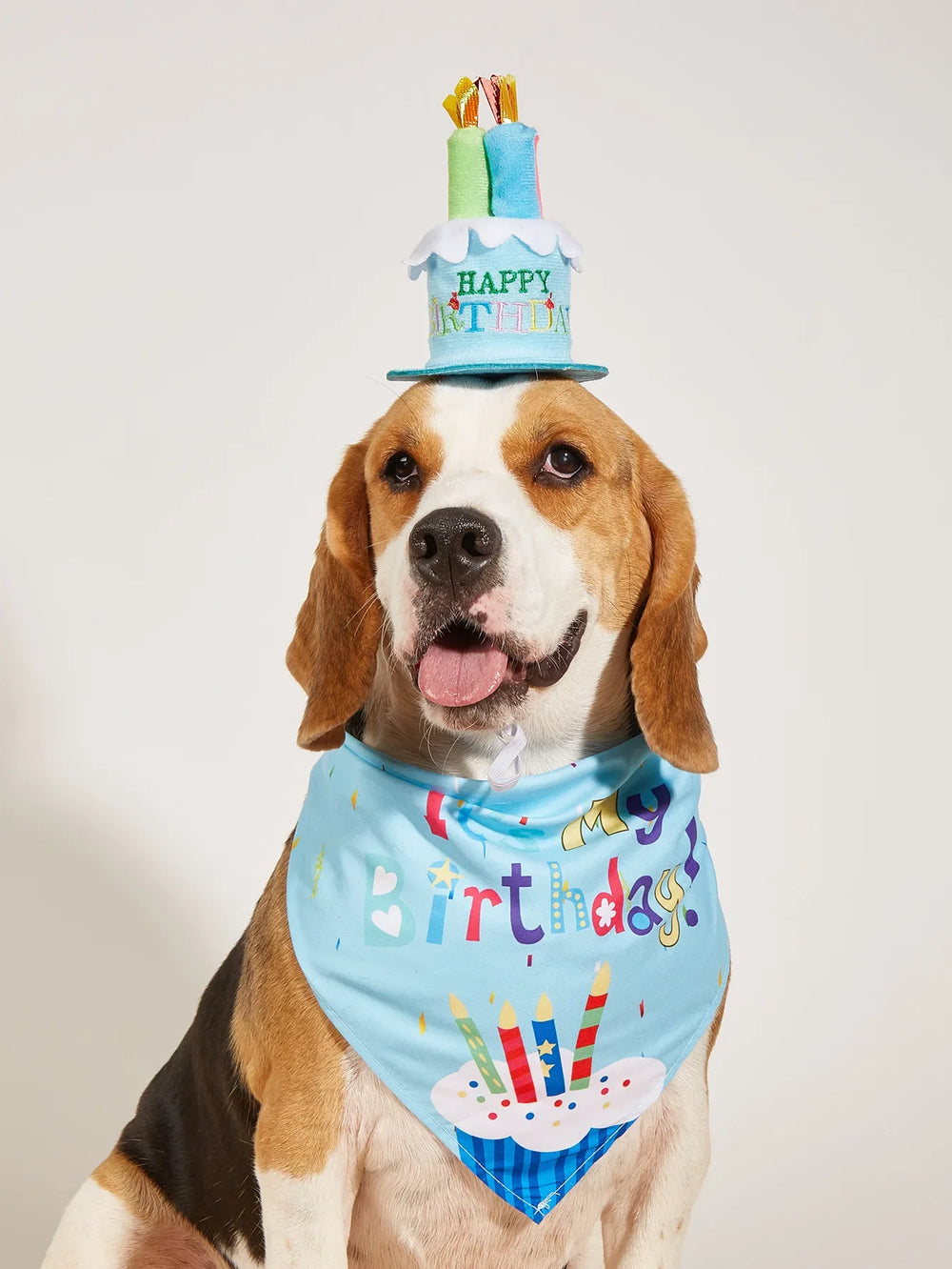 Dog Happy Birthday Decoration Dog Costume Hats Bowknot Bandana Neckerchief Bibs Banners Party Cat Dog Pets Accessories Perros