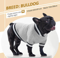 Grey Winter Pullover Sweatshirt
