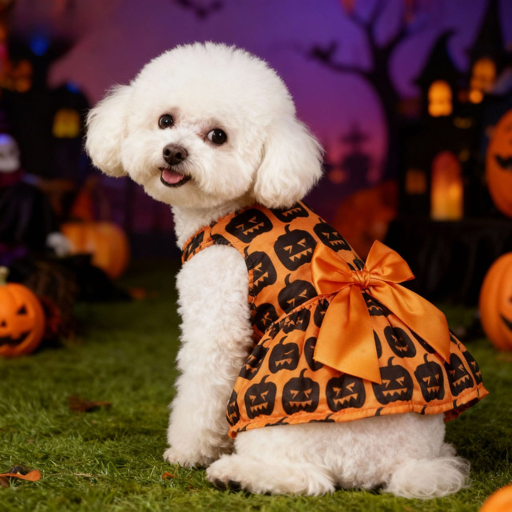 Pet Halloween Costume Dog Clothes Pumpkin Dress Bat Dress Festival Bat Outfit for Dogs