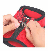 Snaz red cat harness  with leash 2 piece  set
