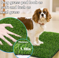 Dog Grass Pad, 2-Pack
